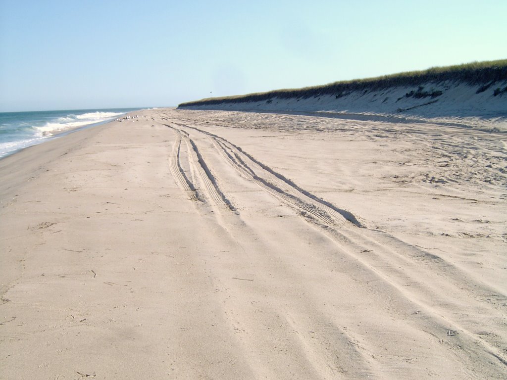 Nauset Beach